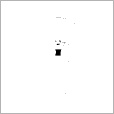 Bump Map