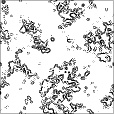 Reflective Occlusion Map