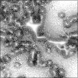 Ambient Occlusion Map