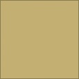 Diffuse Map