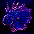 Techno Neon Invert