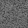 Ambient Occlusion Map
