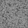 Bump Map