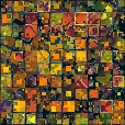 Diffuse Map
