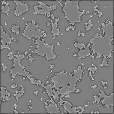 Bump Map