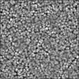 Bump Map