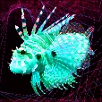 Variation 1