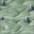 Variation 3