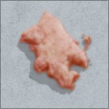 Fleshworks