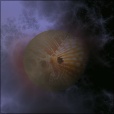 Variation 7