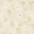 Diffuse Map