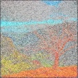 Variation 8