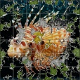 Variation 4