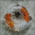Diffuse Map