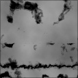 Bump Map