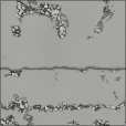Diffuse Map