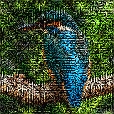 Variation 4