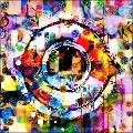 Trippy Hippy