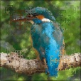 Variation 5