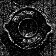 Reflective Occlusion Map