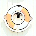 Dynamic Gamma 1c