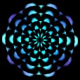Variation 7