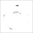 Bump Map