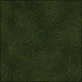 Grass 1