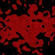 Diffuse Map