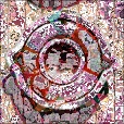 Variation 6