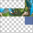 Variation 3
