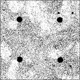 Reflective Occlusion Map
