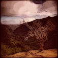 Variation 1