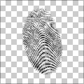 Simple Fingerprint
