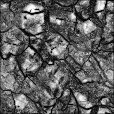 Ambient Occlusion Map