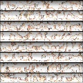CF Aluminum Siding