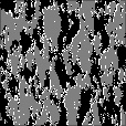 Bump Map