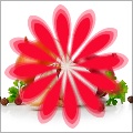GF Circular Floral Graphics v3