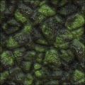 Dragon Scales