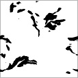 Reflective Occlusion Map