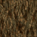 Bark