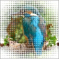 GF Halftone Maker v1