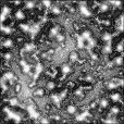 Ambient Occlusion Map