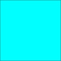 Flouresecnece Image Merger-Blue Green