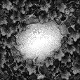 Ambient Occlusion Map