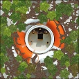 Diffuse Map