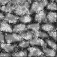 Bump Map