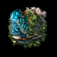 Variation 4