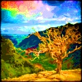 Pure colors