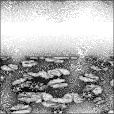 Ambient Occlusion Map